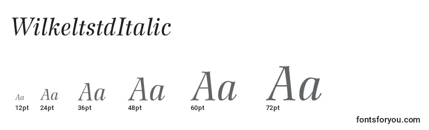 WilkeltstdItalic Font Sizes