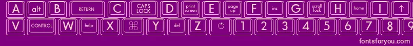 DavysPlain Font – Pink Fonts on Purple Background