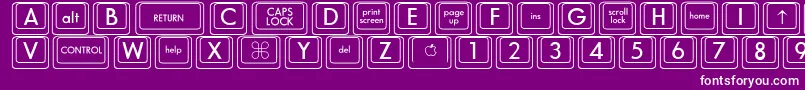 DavysPlain Font – White Fonts on Purple Background