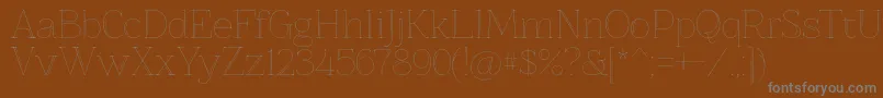 Znikomitno25 Font – Gray Fonts on Brown Background