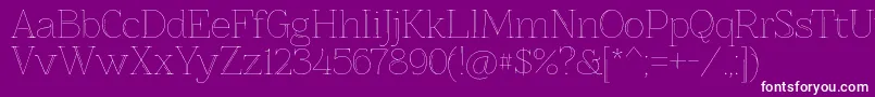 Znikomitno25 Font – White Fonts on Purple Background