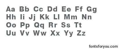 NthelveticaBold Font