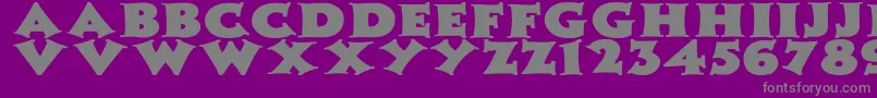 ZaleskiWdBold Font – Gray Fonts on Purple Background