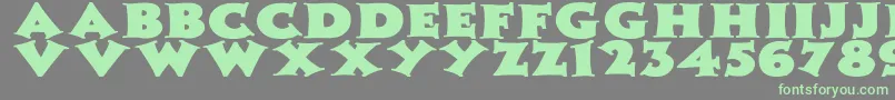 Więcej informacji o czcionce ZaleskiWdBold Czcionka ZaleskiWdBold – zielone czcionki na szarym tle