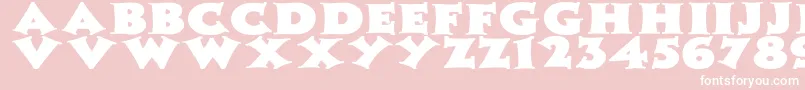 ZaleskiWdBold Font – White Fonts on Pink Background