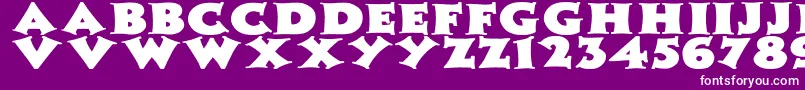 ZaleskiWdBold-fontti – valkoiset fontit violetilla taustalla