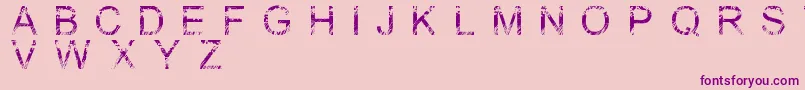 Nature Font – Purple Fonts on Pink Background