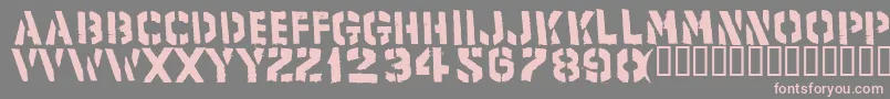 Product Font – Pink Fonts on Gray Background