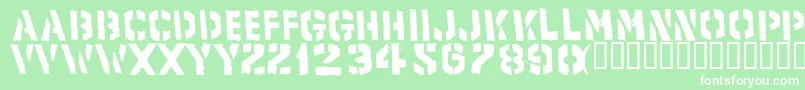 Product Font – White Fonts on Green Background