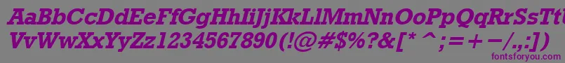 RodeoBoldItalic Font – Purple Fonts on Gray Background