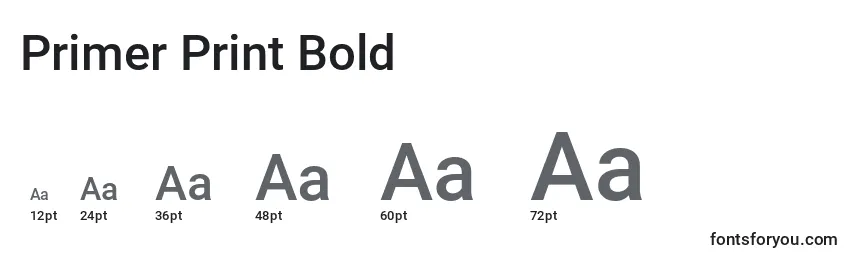 Размеры шрифта Primer Print Bold
