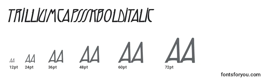 Размеры шрифта TrilliumcapssskBolditalic