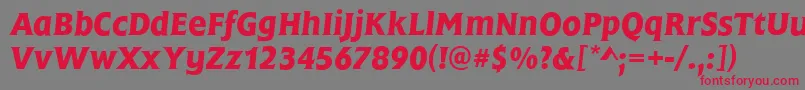 フォントFrascatiMediumItalic – 赤い文字の灰色の背景