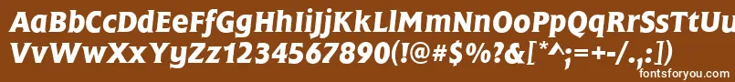 FrascatiMediumItalic Font – White Fonts on Brown Background