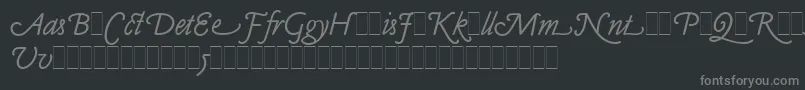 ClaudeSansItalicAltsLetPlain.1.0 Font – Gray Fonts on Black Background
