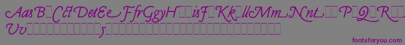 Шрифт ClaudeSansItalicAltsLetPlain.1.0 – фиолетовые шрифты на сером фоне