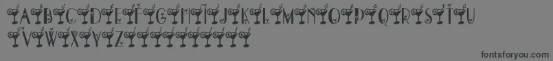 DryMartini-Schriftart – Schwarze Schriften auf grauem Hintergrund