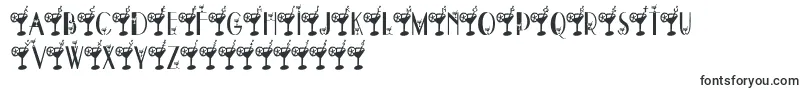 DryMartini Font – Sans-serif Fonts