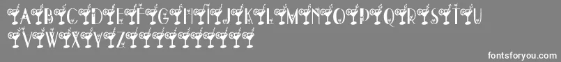 DryMartini Font – White Fonts on Gray Background