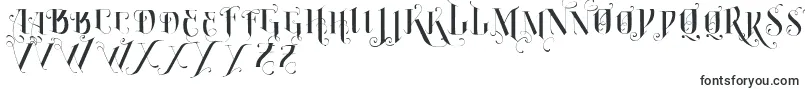 VtksBurning-fontti – Alkavat V:lla olevat fontit