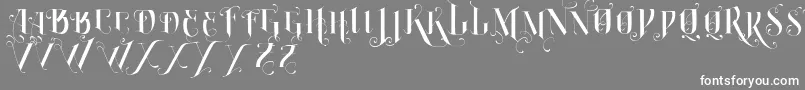 フォントVtksBurning – 灰色の背景に白い文字