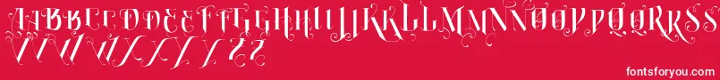 VtksBurning Font – White Fonts on Red Background