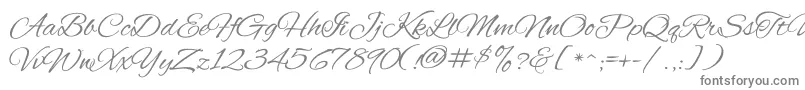 AlexBrush Font – Gray Fonts on White Background