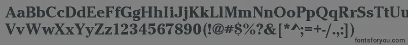 CheltenhamitcteeBold Font – Black Fonts on Gray Background