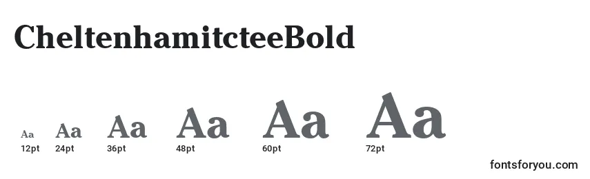 CheltenhamitcteeBold Font Sizes