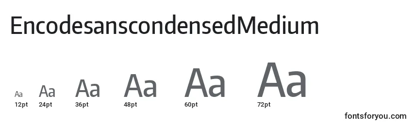 Размеры шрифта EncodesanscondensedMedium