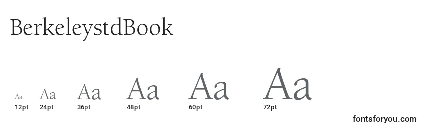 Размеры шрифта BerkeleystdBook