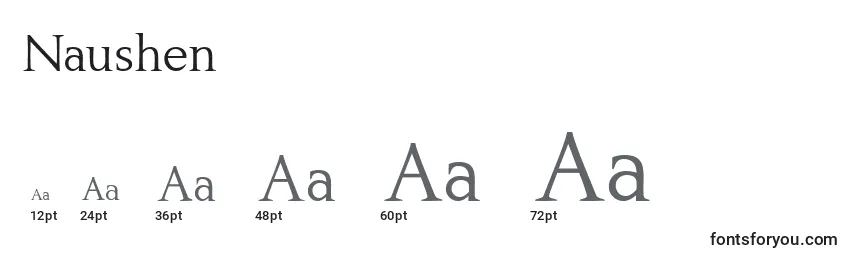 Размеры шрифта Naushen