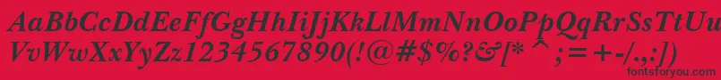 NewBaskervilleBoldItalicBt Font – Black Fonts on Red Background