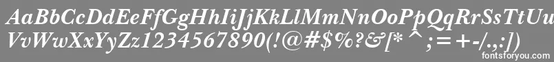 NewBaskervilleBoldItalicBt Font – White Fonts on Gray Background