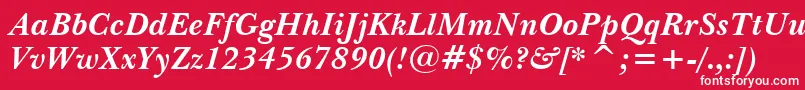 NewBaskervilleBoldItalicBt Font – White Fonts on Red Background