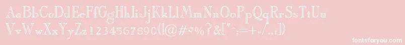 ArbiteropenfaceRegularDb Font – White Fonts on Pink Background