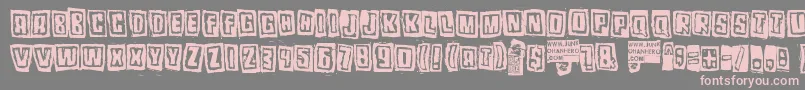 Pozotwo Font – Pink Fonts on Gray Background
