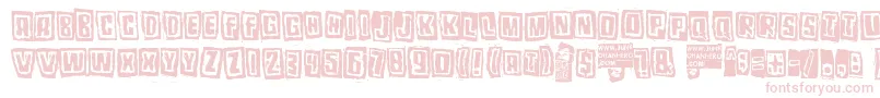 Pozotwo Font – Pink Fonts on White Background