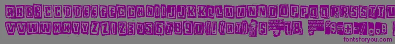 Шрифт Pozotwo – фиолетовые шрифты на сером фоне