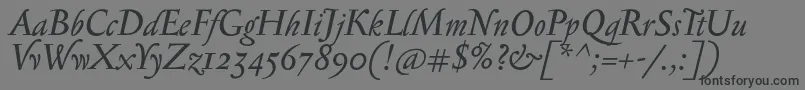 フォントSerapioniiItalic – 黒い文字の灰色の背景