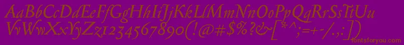 SerapioniiItalic Font – Brown Fonts on Purple Background