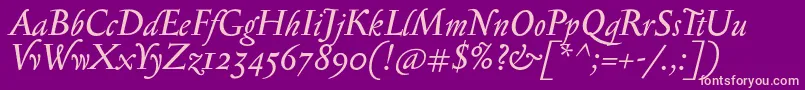 SerapioniiItalic Font – Pink Fonts on Purple Background