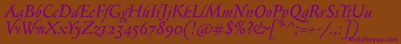 SerapioniiItalic Font – Purple Fonts on Brown Background