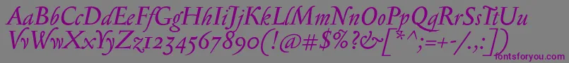 フォントSerapioniiItalic – 紫色のフォント、灰色の背景