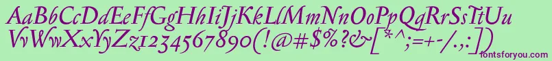 SerapioniiItalic Font – Purple Fonts on Green Background