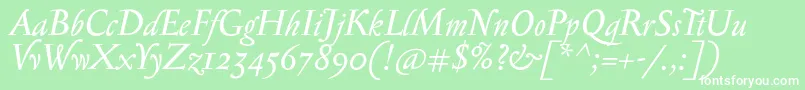 SerapioniiItalic Font – White Fonts on Green Background