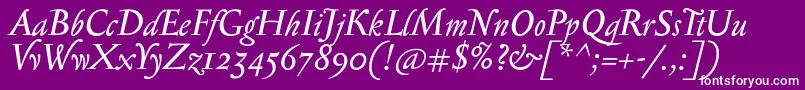 SerapioniiItalic Font – White Fonts on Purple Background