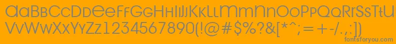 AAvantetitlercpslcLight Font – Gray Fonts on Orange Background