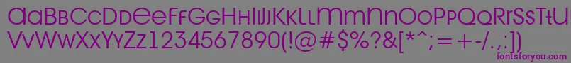 AAvantetitlercpslcLight Font – Purple Fonts on Gray Background