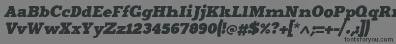Merititalic4 Font – Black Fonts on Gray Background